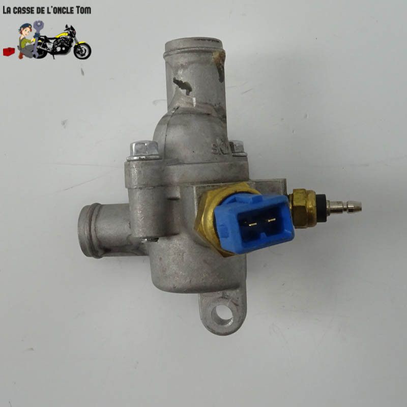 Calorstat Mondial 300 HP 2019 - CTM-10974-067