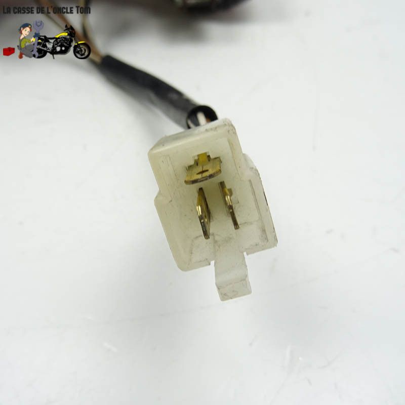 Feu arrière Suzuki 650 sv 1999 - CTM-10646-011