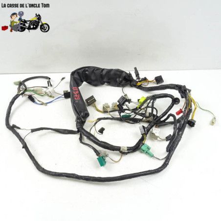 Faisceau éléctrique Suzuki 125 Burgman (UH125) 2005 - CTM-11379-043