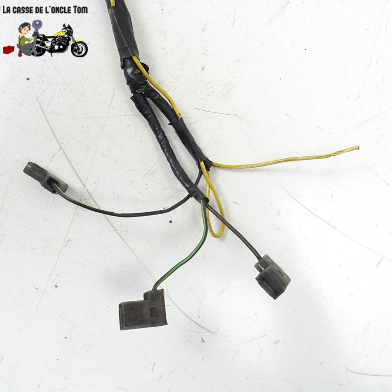 Faisceau éléctrique Suzuki 125 Burgman (UH125) 2005 - CTM-11379-043