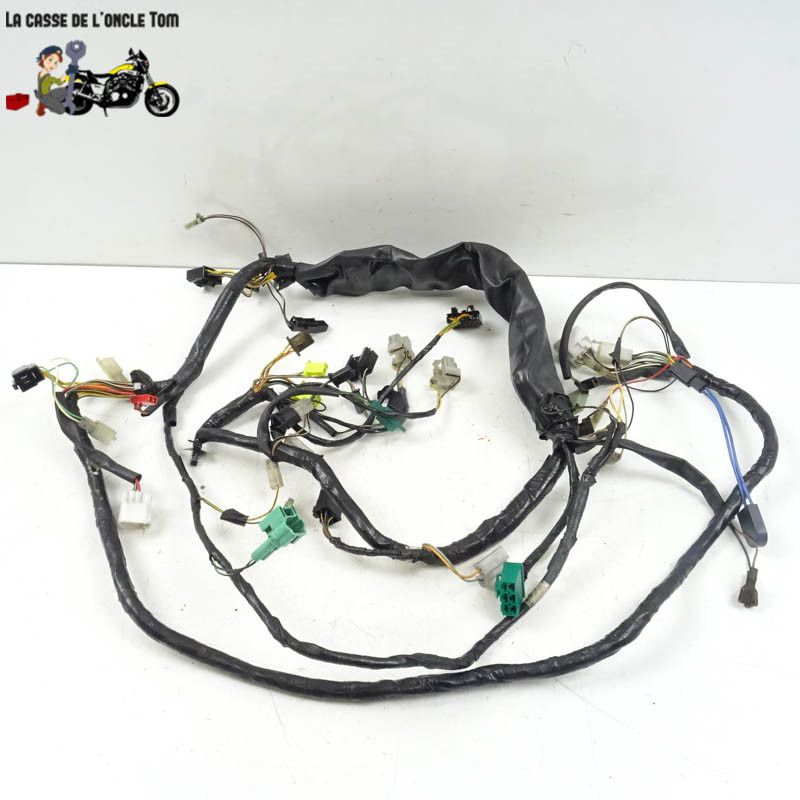 Faisceau éléctrique Suzuki 125 Burgman (UH125) 2005 - CTM-11379-043