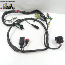 Faisceau éléctrique Honda 500 cb 2000 - CTM-11554-031