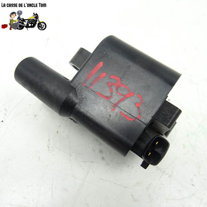 Bobine d'allumage Ducati 1200 Monster 2017 - CTM-11393-009