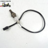 Sonde lambda Honda 600 cbf hornet abs 2008 - CTM-7930-042