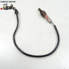 Sonde lambda Honda 600 cbf hornet abs 2008 - CTM-7930-042
