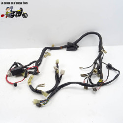 Faisceau électrique Yamaha 600 XJ S DIVERSiON 1999 - CTM-9492-038