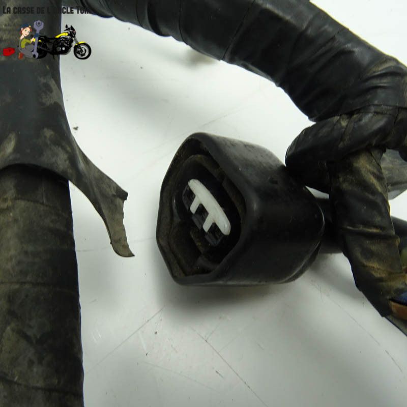 Faisceau électrique Yamaha  600 XJ S DIVERSiON 1999 - CTM-9492-038