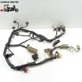 Faisceau électrique Honda...