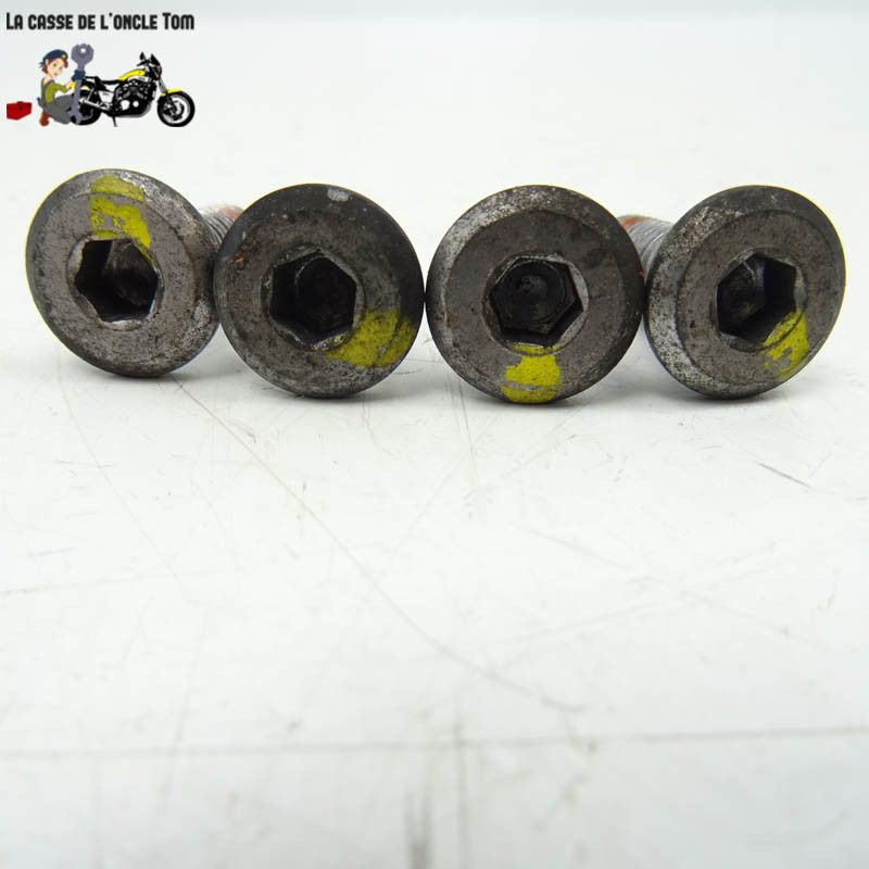 Vis disque de frein arrière Honda 600 cbf hornet 2009 - CTM-9196-009