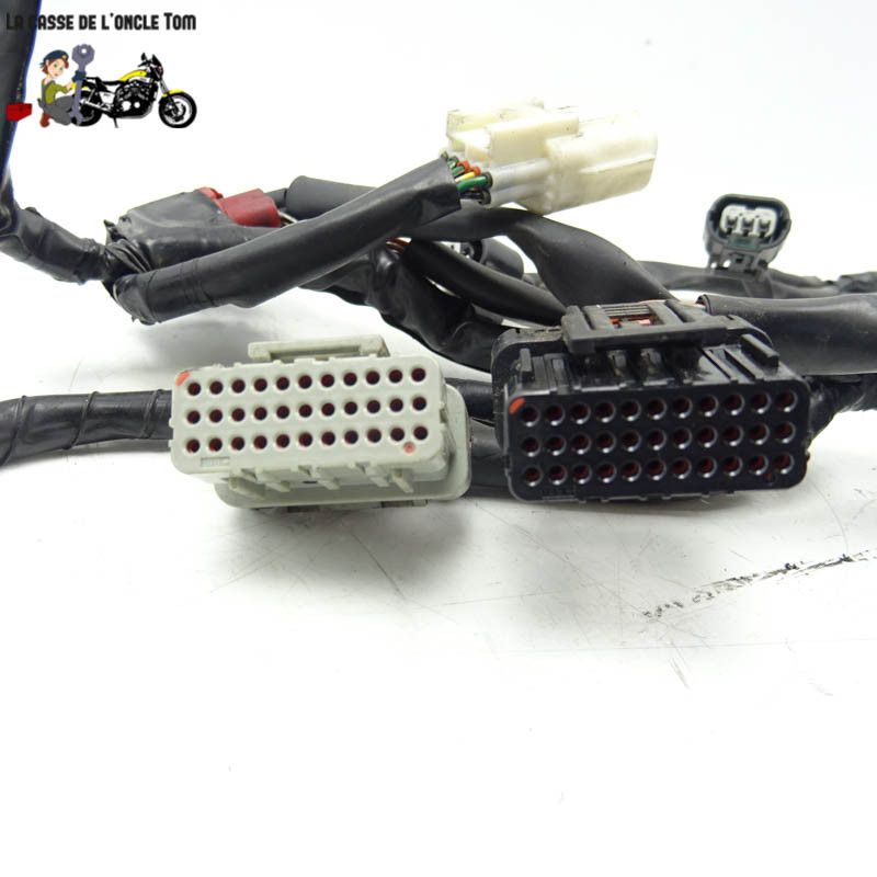 Faisceau électrique (petit) Honda 600 cbf hornet 2009 - CTM-9196-027