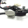 Faisceau électrique (petit) Honda 600 cbf hornet 2009 - CTM-9196-027
