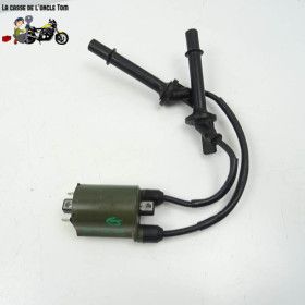 Bobine d'allumage cyl 2-3...