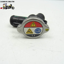 Bouchon de radiateur avec bride Honda 600 cbf hornet 2009 - CTM-9196-046