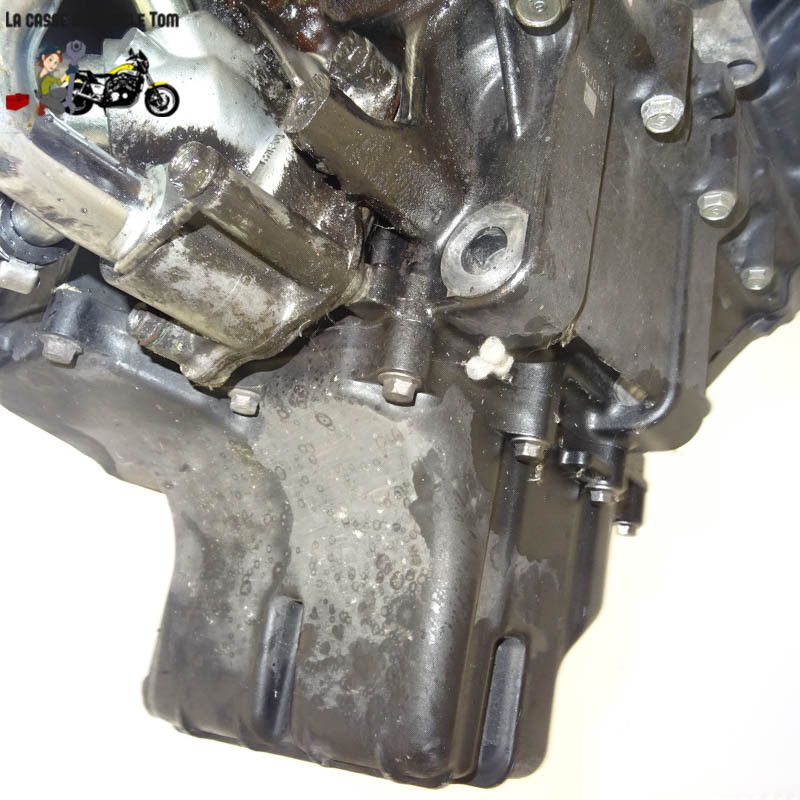 Moteur Honda 600 cbf hornet 2009 (PC41) - CTM-9196-065
