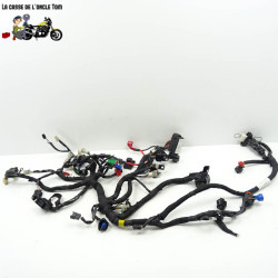 Faisceau électrique KTM 125 RC 2015 - CTM-11268-076