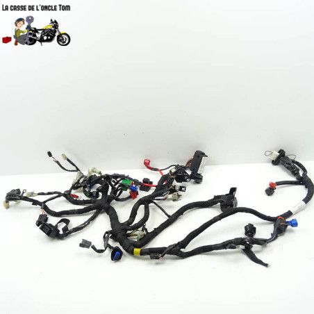 Faisceau électrique KTM 125 RC 2015 - CTM-11268-076