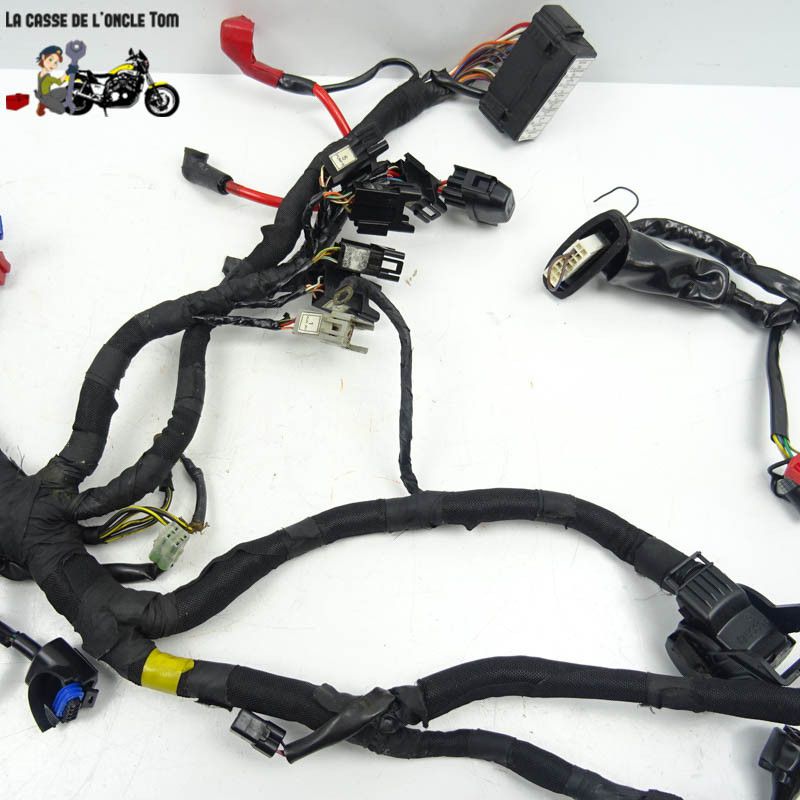 Faisceau électrique KTM 125 RC 2015 - CTM-11268-076