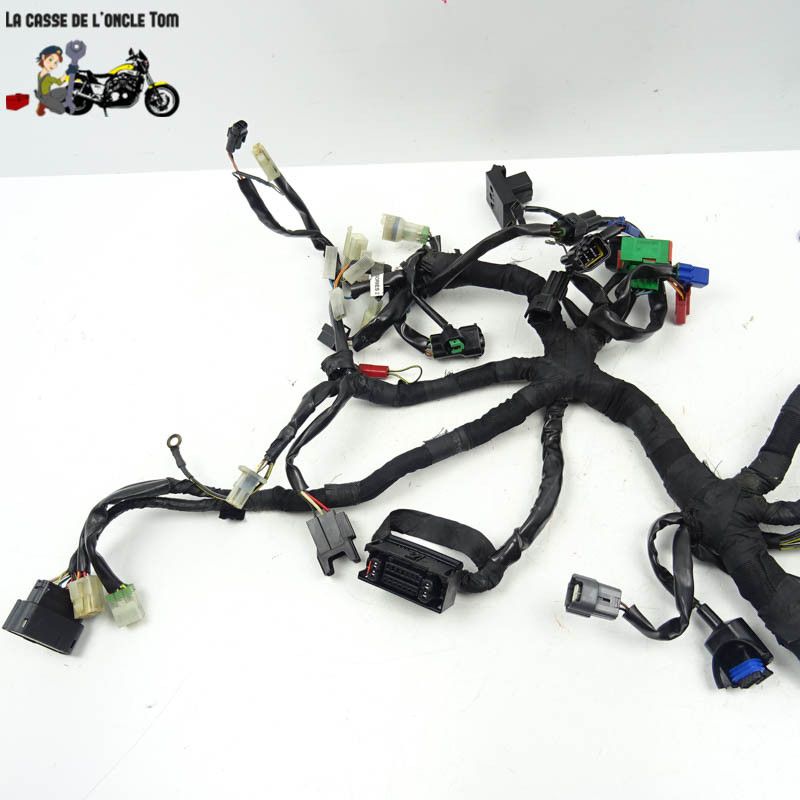 Faisceau électrique KTM 125 RC 2015 - CTM-11268-076