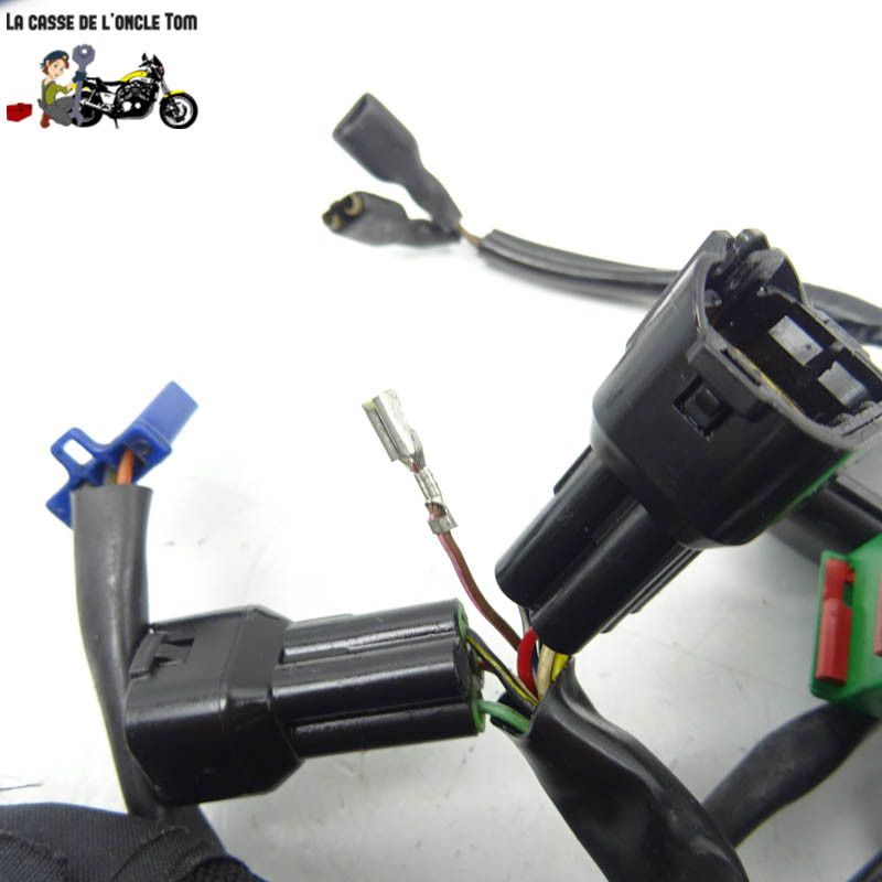 Faisceau électrique KTM 125 RC 2015 - CTM-11268-076