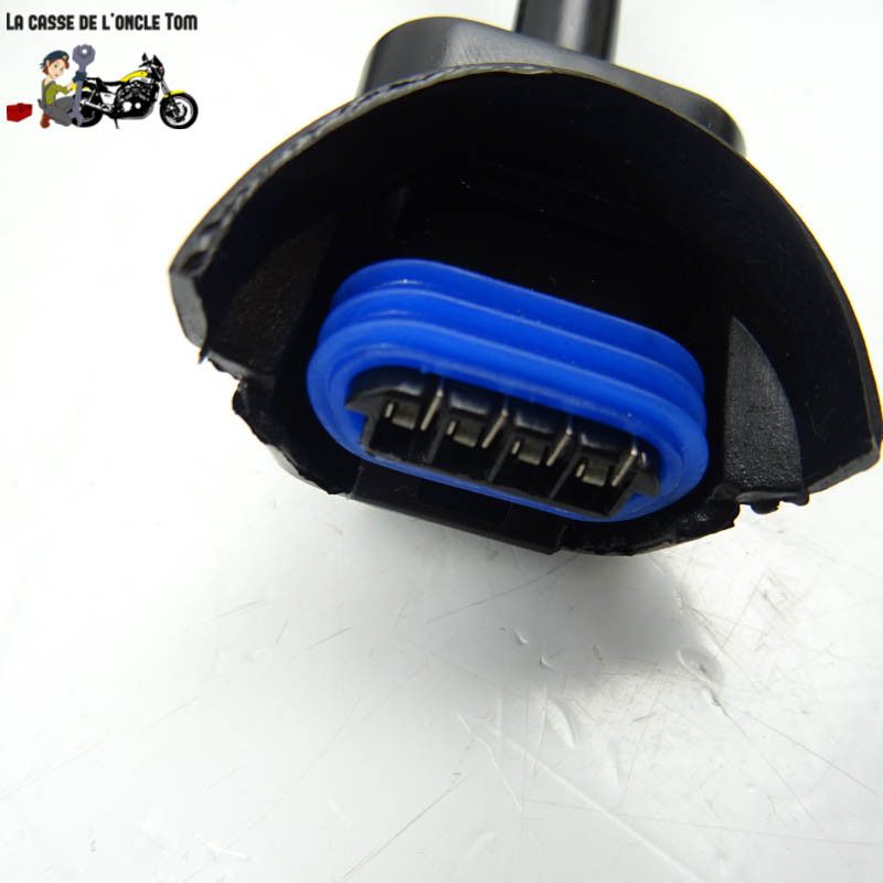 Faisceau électrique KTM 125 RC 2015 - CTM-11268-076