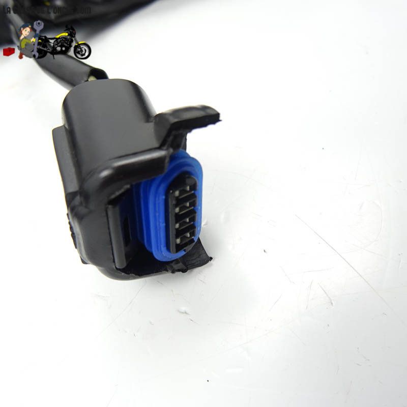 Faisceau électrique KTM 125 RC 2015 - CTM-11268-076