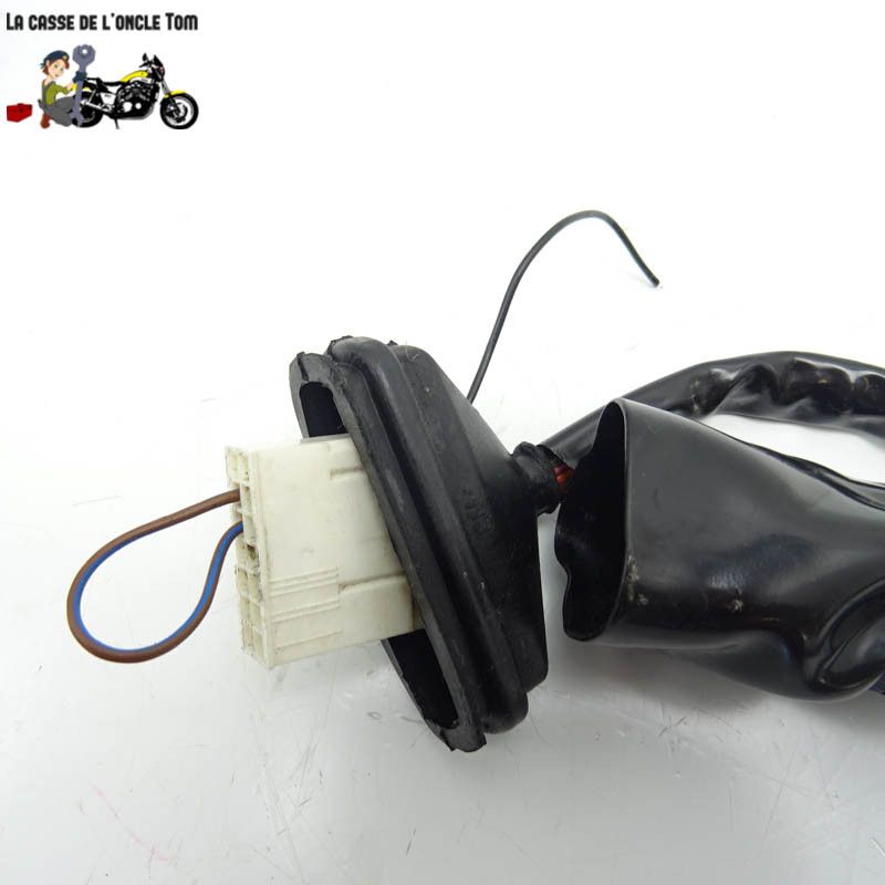 Faisceau électrique KTM 125 RC 2015 - CTM-11268-076