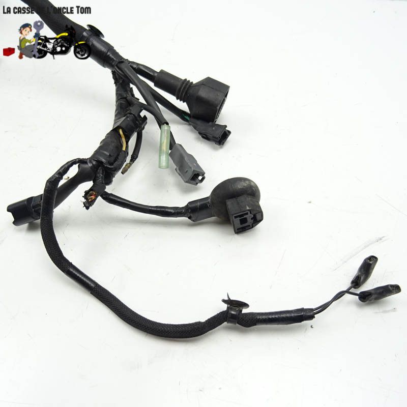 Faisceau éléctrique Kawasaki 900 Z900 2018 - CTM-11218-080