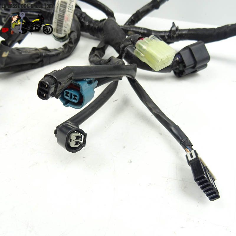 Faisceau éléctrique Kawasaki 900 Z900 2018 - CTM-11218-080