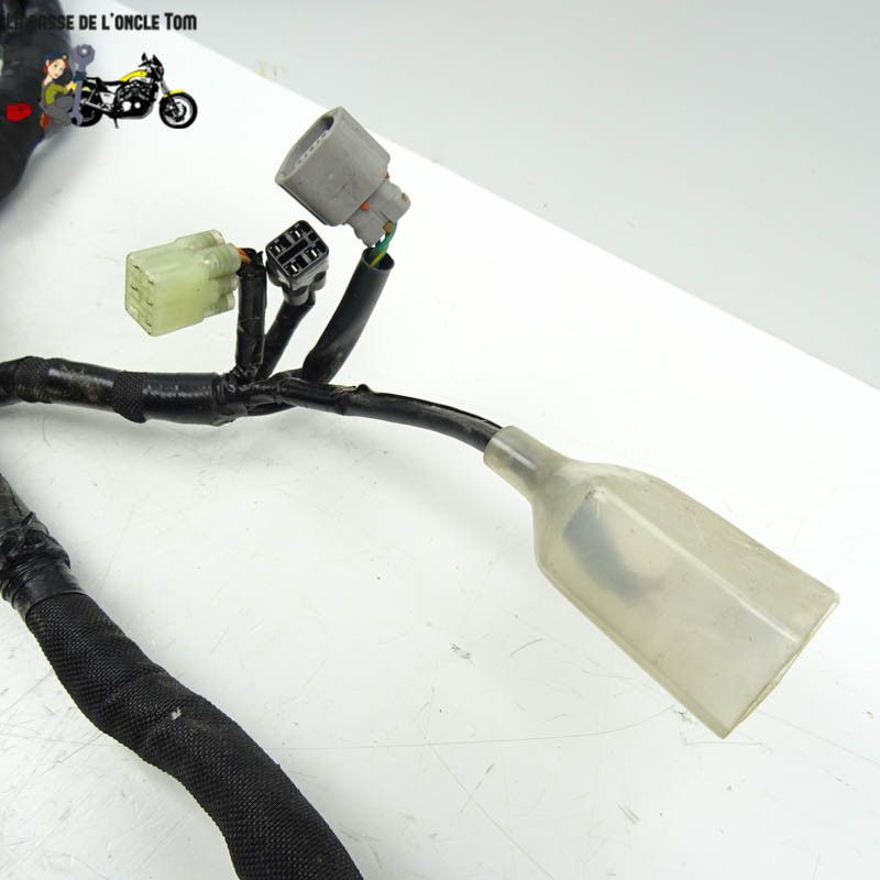 Faisceau éléctrique Kawasaki 900 Z900 2018 - CTM-11218-080