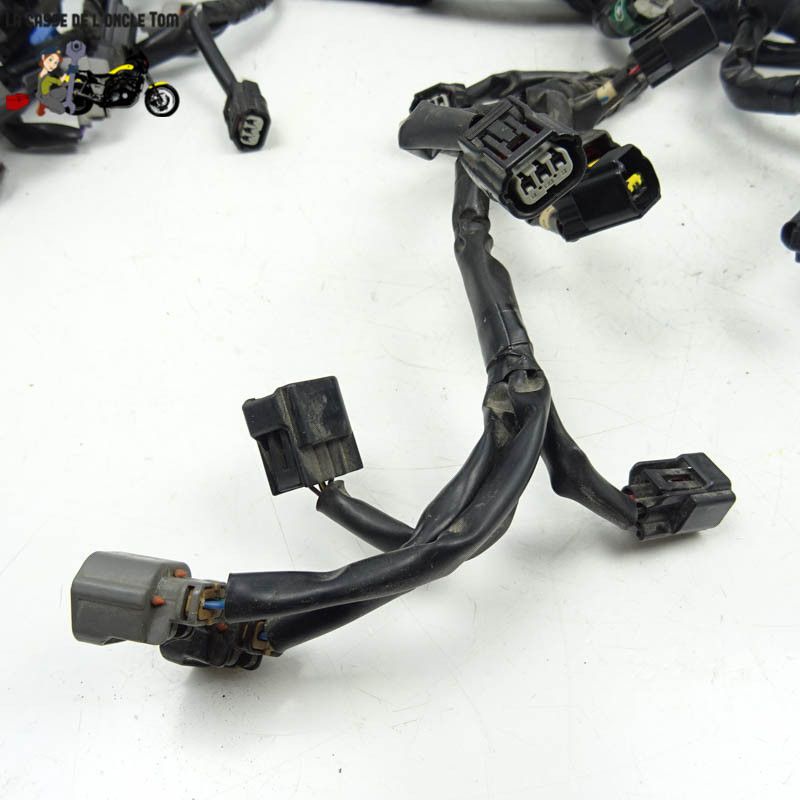 Faisceau éléctrique Kawasaki 900 Z900 2018 - CTM-11218-080