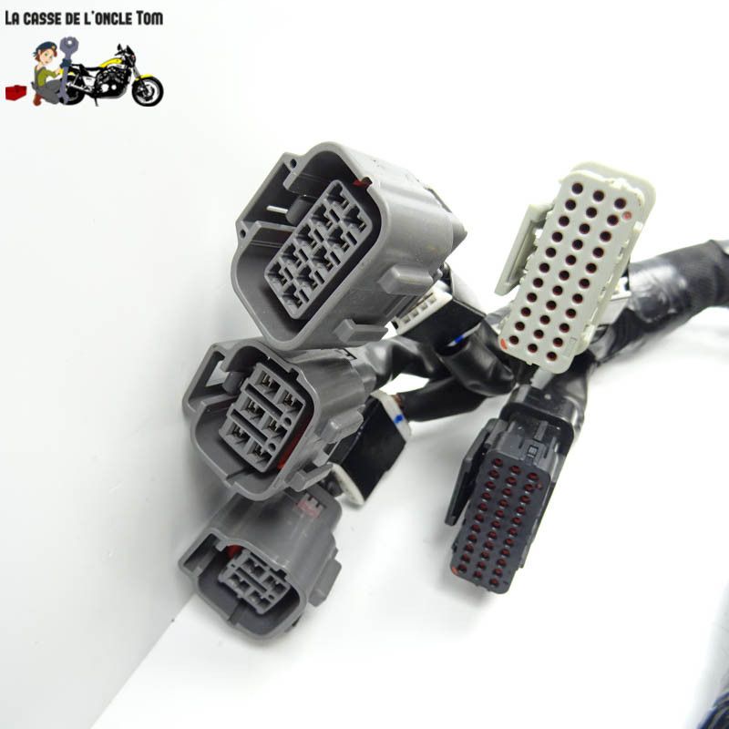 Faisceau éléctrique Kawasaki 900 Z900 2018 - CTM-11218-080