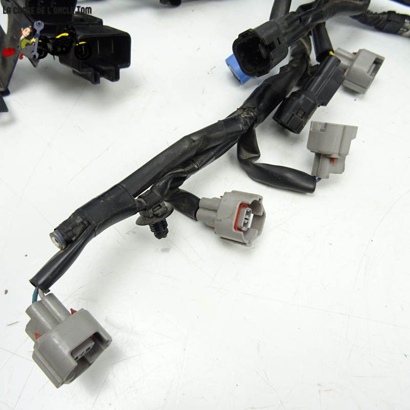 Faisceau éléctrique Kawasaki 900 Z900 2018 - CTM-11218-080