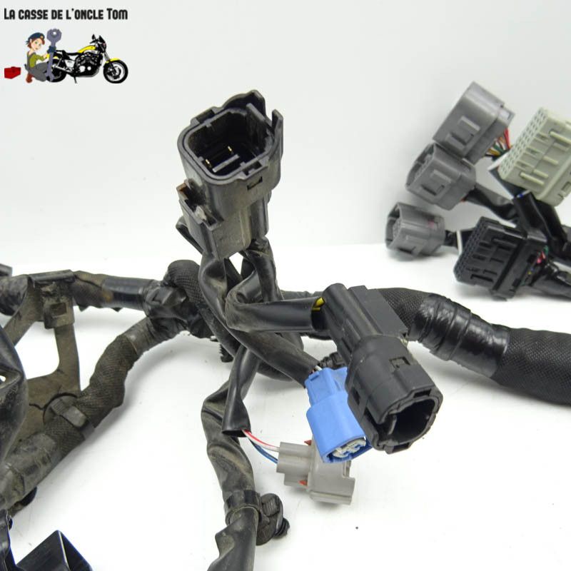 Faisceau éléctrique Kawasaki 900 Z900 2018 - CTM-11218-080