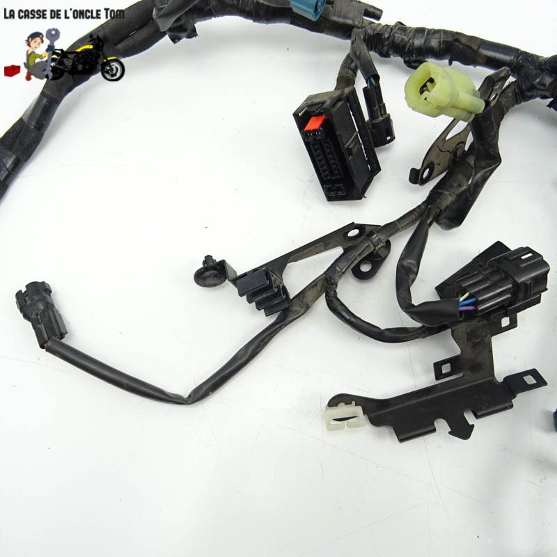 Faisceau éléctrique Kawasaki 900 Z900 2018 - CTM-11218-080