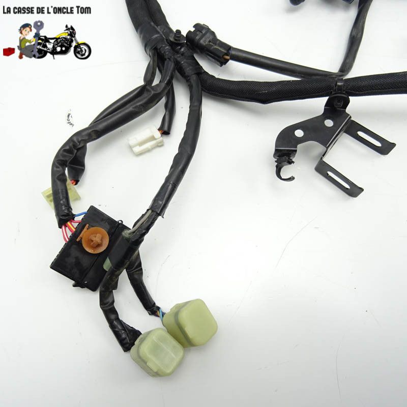 Faisceau éléctrique Kawasaki 900 Z900 2018 - CTM-11218-080