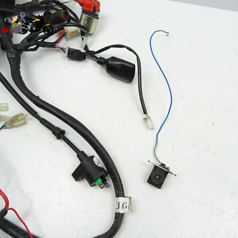 Faisceau électrique JM Motors 50 MIA 2021 - CTM-11860-014