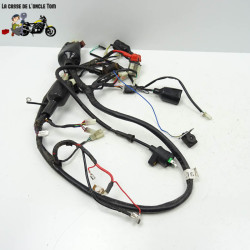 Faisceau électrique JM Motors 50 MIA 2021 - CTM-11860-014