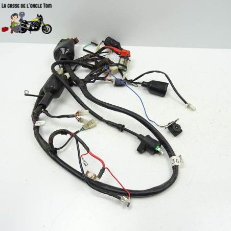 Faisceau électrique JM Motors 50 MIA 2021 - CTM-11860-014