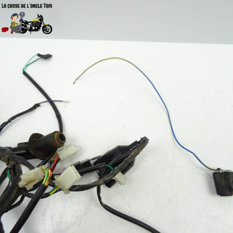 Faisceau électrique JM Motors 50 MIA 2021 - CTM-11860-014