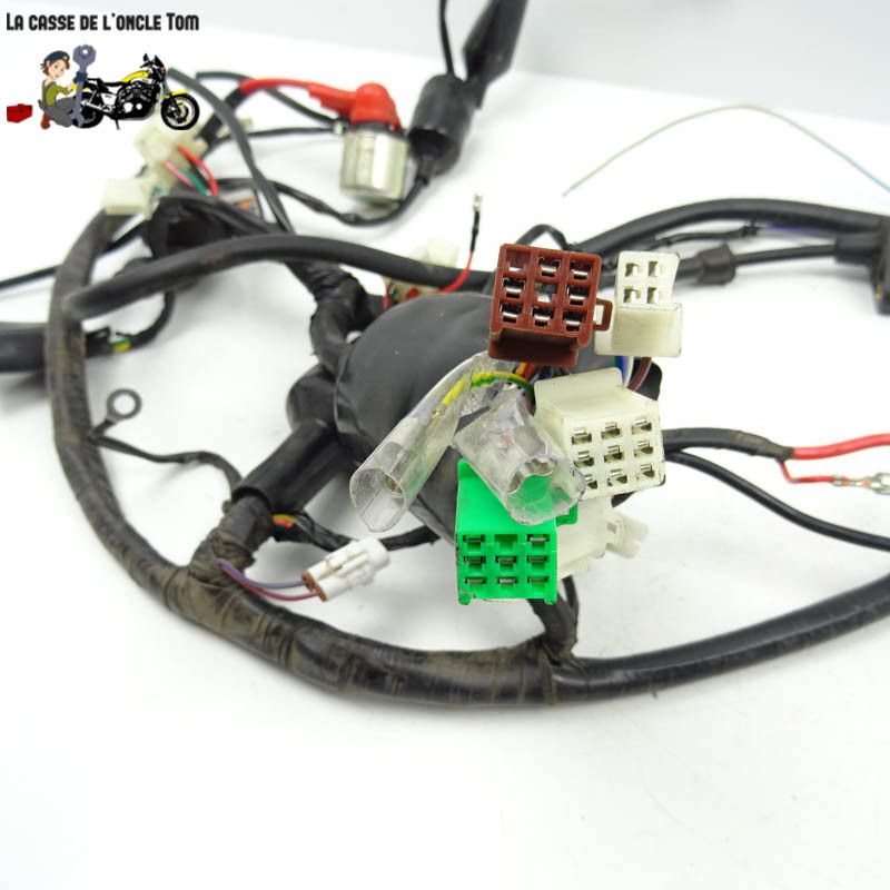 Faisceau électrique JM Motors 50 MIA 2021 - CTM-11860-014