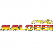 Malossi